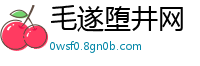 毛遂堕井网